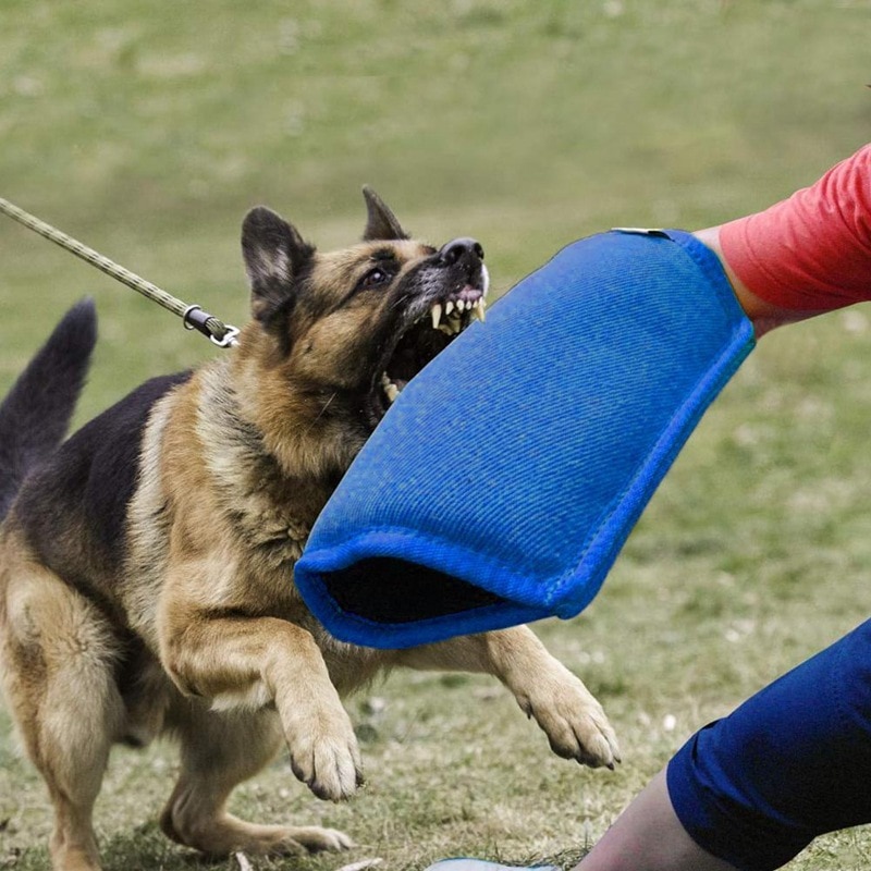 Dog Training Protective Gear Biting Target Guard Sleeves German Shepherd Dog Agility Training Equipment Dog Training Supplies