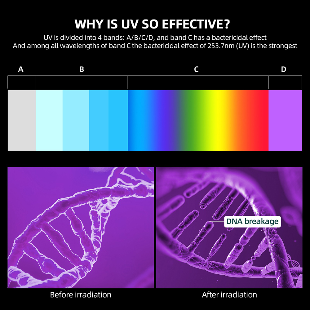 Elektrische UV-sterilisator Aromatherapie Box Multifunctionele mobiele telefoon Draadloze oplader Desinfectie Anti-bacteriën Machine