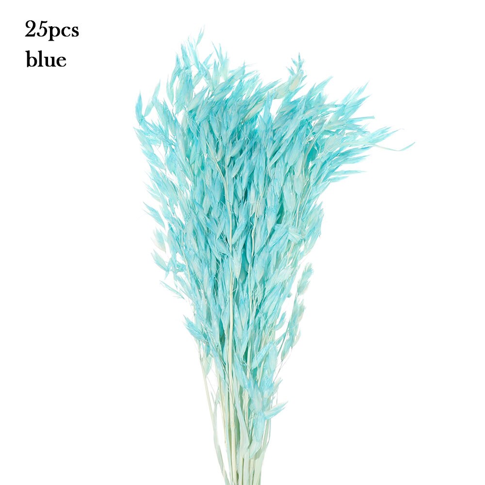 15/25 sztuk trzciny naturalne pszenicy kwiat bukiet suszone Pampas ślubny kwiat bukiet bukiety Bulrush dla Home Decor materiały ślubne: 25PCS-blue
