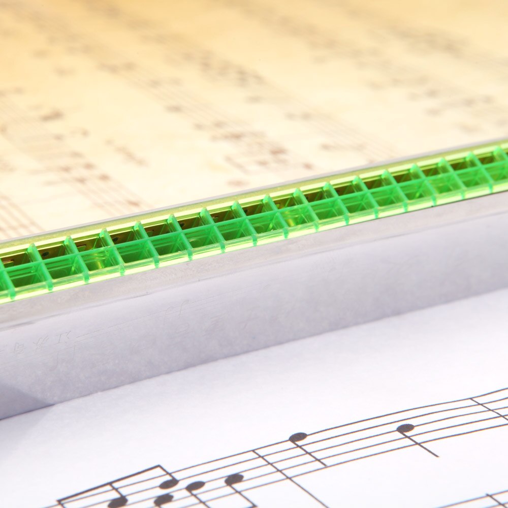 24 hulls munnspill oktav munnspill munnorgan fritt sivblåseinstrument med koffert