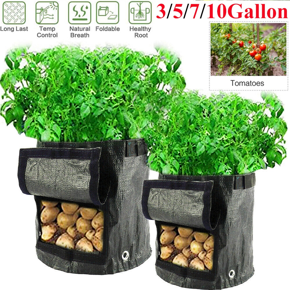 Plante vokse pose kartoffel vokse poser plantning vandtæt pe havearbejde grøntsags planter pose 3/5/7/10 gallon  d30