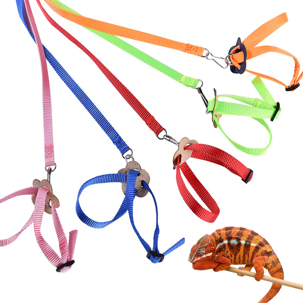 Polyester Adjustable 8shaped Soft Rabbit Harness Leash Guinea Pig Lead Rope Pet Chinchilla Leash Small Pet Traction Rope Running