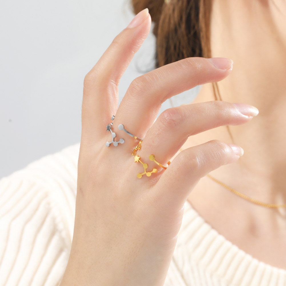 COOLTIME 12-Sternbild-Damenring, Edelstahl, Sternzeichen, verstellbare Ringe, Löwir, Jungfrau, Waage, Fische, Schmuck, Geburtstagsgeschenk