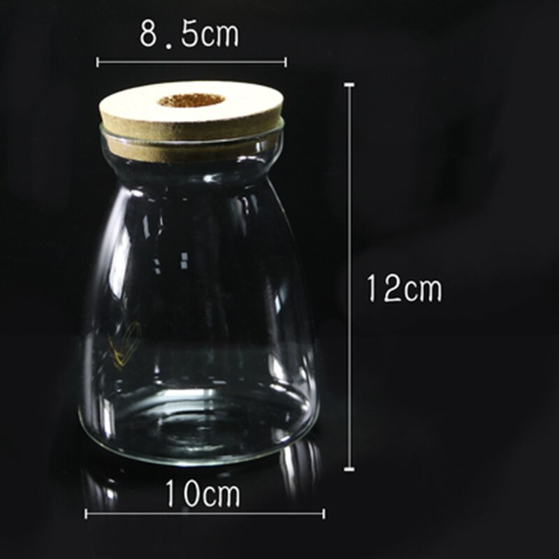 Botella ecológica de vidrio transparente con tapa para pecera, accesorios de acuario para paisajismo, Mini botella con pez: Size-3