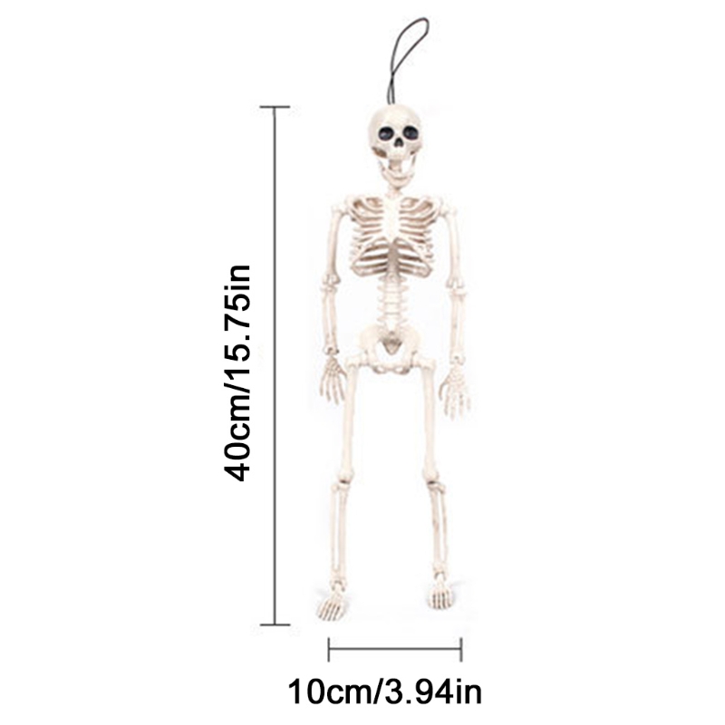Flexible Human Anatomical Anatomy Skeleton Model Full Life Size Halloween Prop 97BC