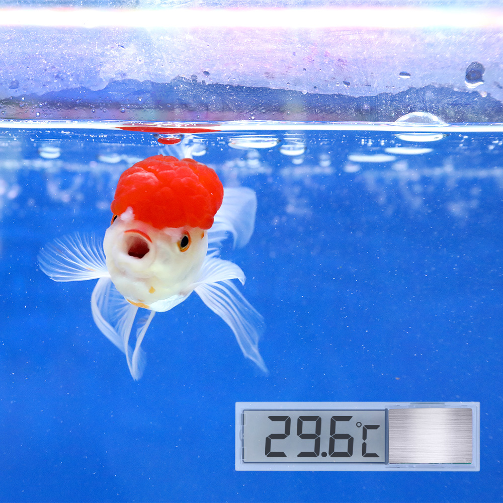 Multi-Functional LCD 3D Aquarium Digital Electronic Temperature Measurement Fish Tank Temp Meter Aquarium Thermometer