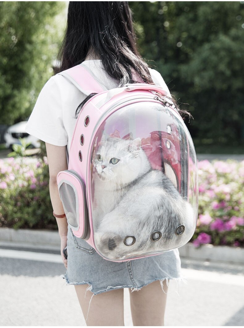 Black Space Capsule Cat Backpack Window Large Portable Shoulder Backpack Breathable Bag Pet Kat Rugzak Petvpuppy Carrier KK60MX