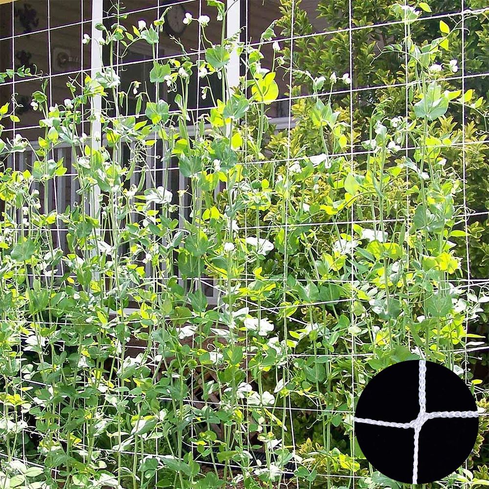Plant Trellis Netting Plant Planting Rope Plant Su... – Grandado