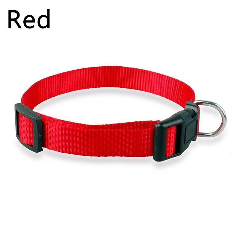 Pet Adjustable nylon dog collars Puppy Dogs Cat Neck Collar Solid Color Chihuahua Puppy nylon Collars: A / L
