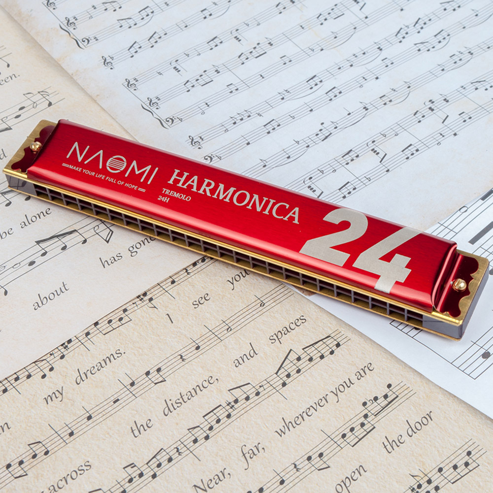 Naomi Mini 24 Holes Tremolo Harmonica Sleutel Van C Rvs Mondharmonica Mondharmonica Met Case Wind Instrument
