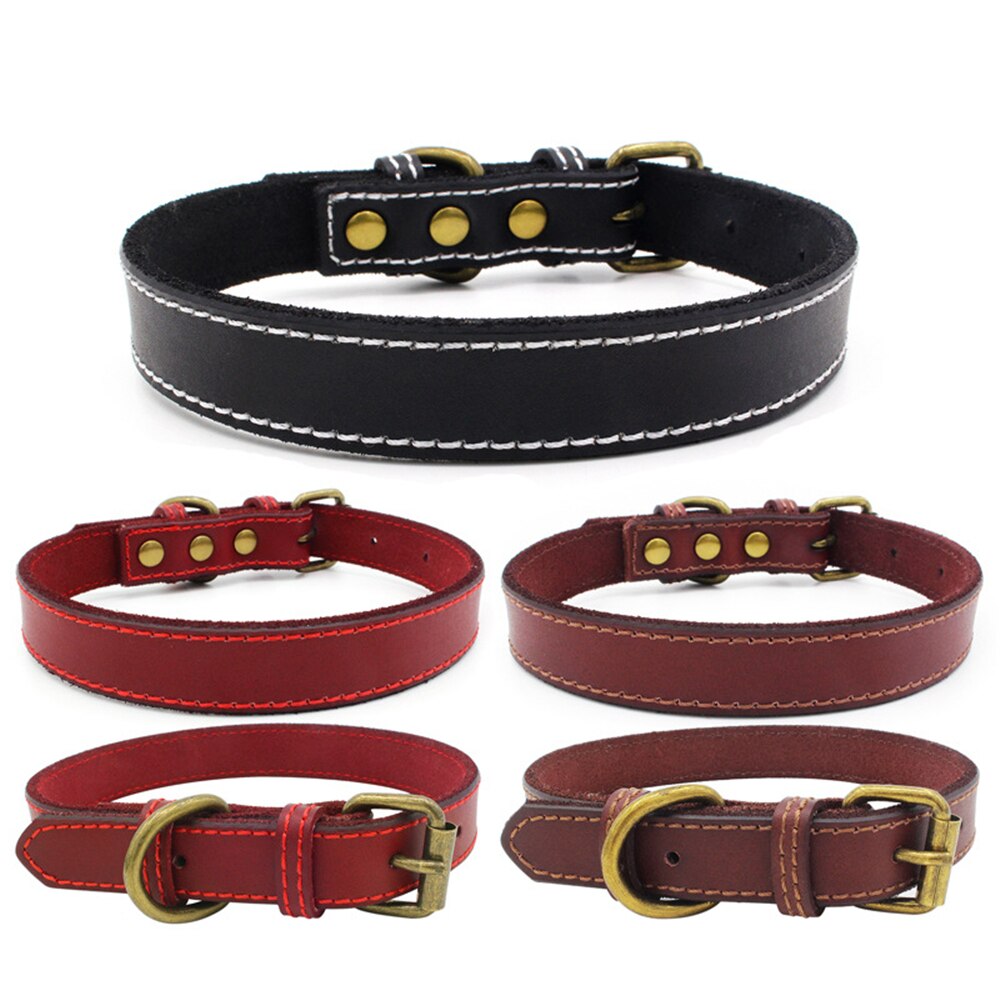 Collier en cuir véritable rembourré pour animal de compagnie, pour petits, moyens et grands chiens, Pitbull Labrador, ceinture ajustable avec boucle pour chiot