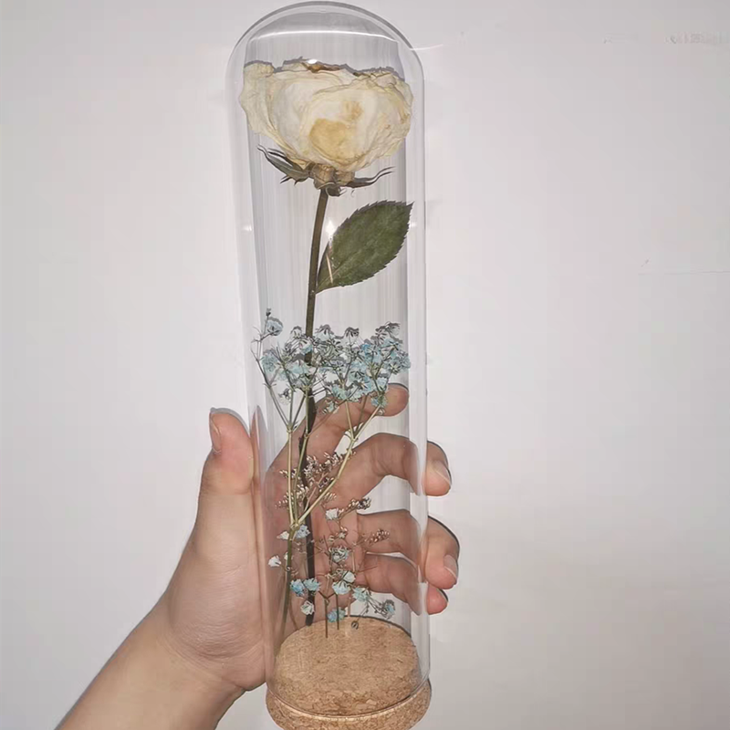 7*30cm Cork Base Glass Dome Home Wedding Decoration Diameter=7cm Diameter=30cm Glass Cover Vase Friend