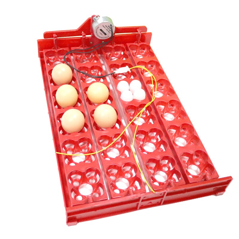 Incubadora para aves 96 huevos, bandeja automática de 24 huevos, herramienta de incubación de codornices de loros, tamaño 43*28 cm
