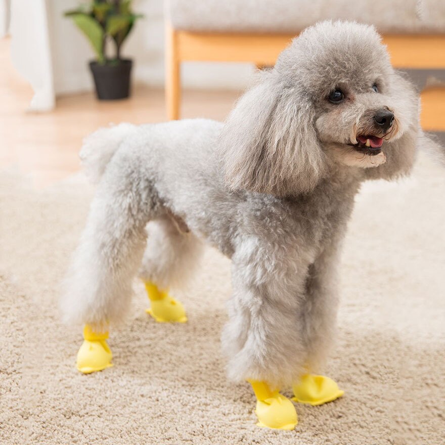 Een Set Van 4 Hond Regen Schoenen Gelei Regen Laarzen Waterdichte Voet Covers Schoenen Huisdier Voor Kleine Honden Regen Levert pomebi Beer Teddy