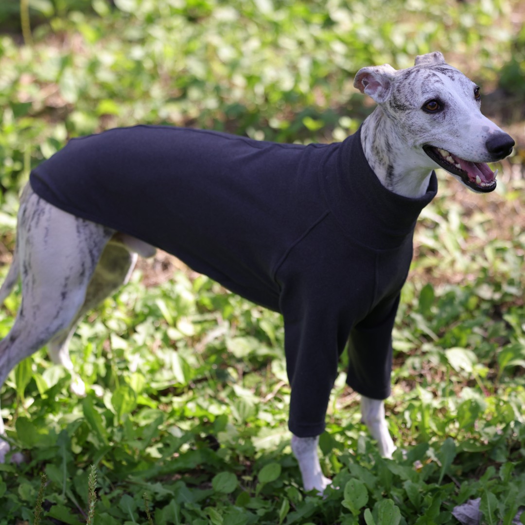 Ubranka dla chartów i chartów na jesień/zimę – miękkie i elastyczne ubranka dla zwierząt: Ja / Czarny