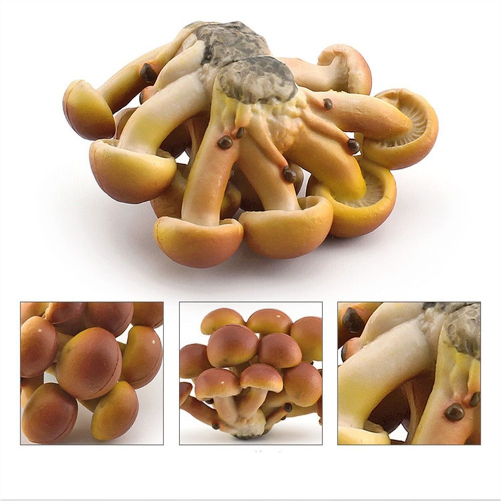 Modelo de vegetales, figuras de hongos, miniaturas de paisaje, Matsutake Oyste, simulación de hongos, planta, modelo de hongos artificiales
