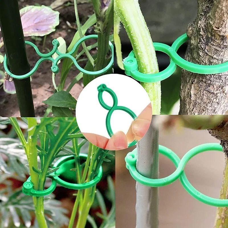 Clips para plantas de jardín para cultivo de verduras, soporte vertical para plantas, anillo incluido de plástico verde, herramienta de soporte para jardín, soporte para vid, 50/100 Uds.