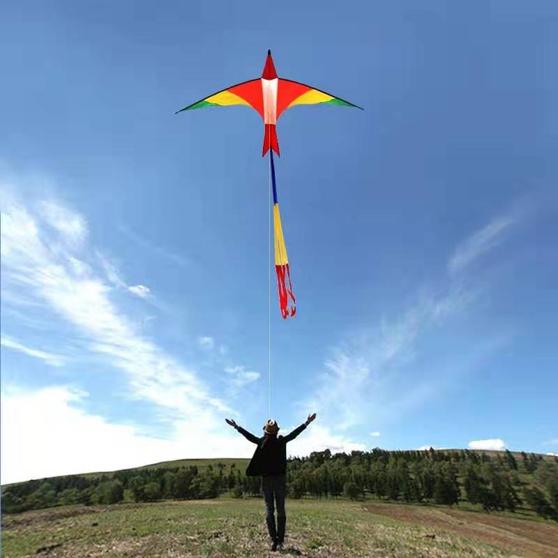 3 M Zwitserse Firebird Kite Voor Volwassenen Flamingo Kite Ross Reel Kevlar Lijn Kite Training Windshock 3d doos Vlieger