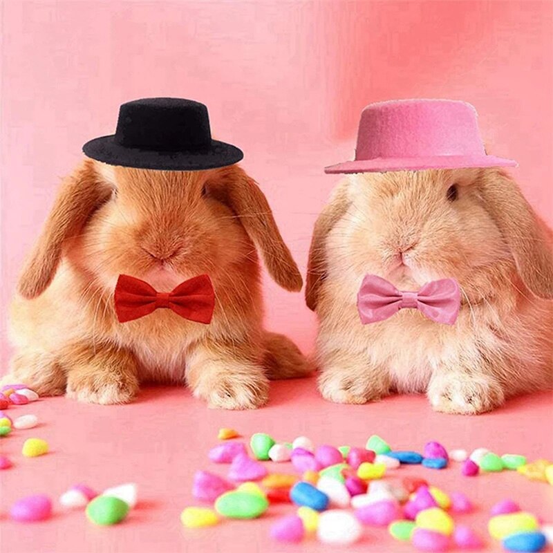 Sombreros de animales pequeños, sombrero de conejo, cerdo, hámster, erizo y pajarita, sombrero de copa para mascotas, gorro divertido festivo, accesorios para la cabeza