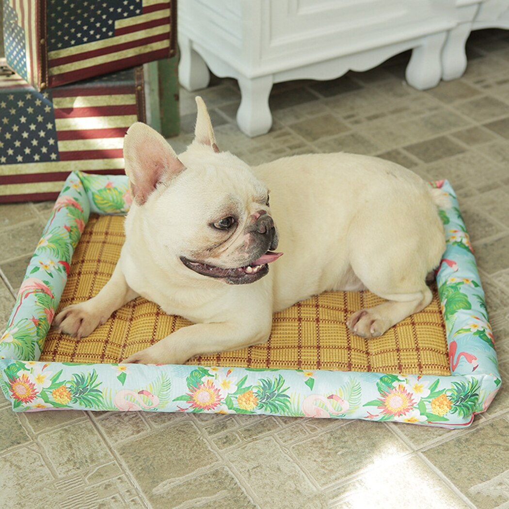Esterilla refrescante de 50x40cm para mascotas, cojín de Manta refrigerante lavable de verano para gatos y perros, para dormir en interiores