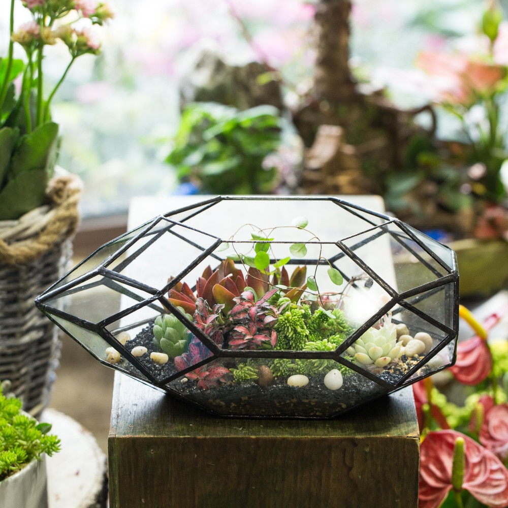 De cristal moderno de pote de flor grande Irregular poliédrico terrario geométrico de cristal linterna suculentas maceta para plantas 11 pulgadas de altura