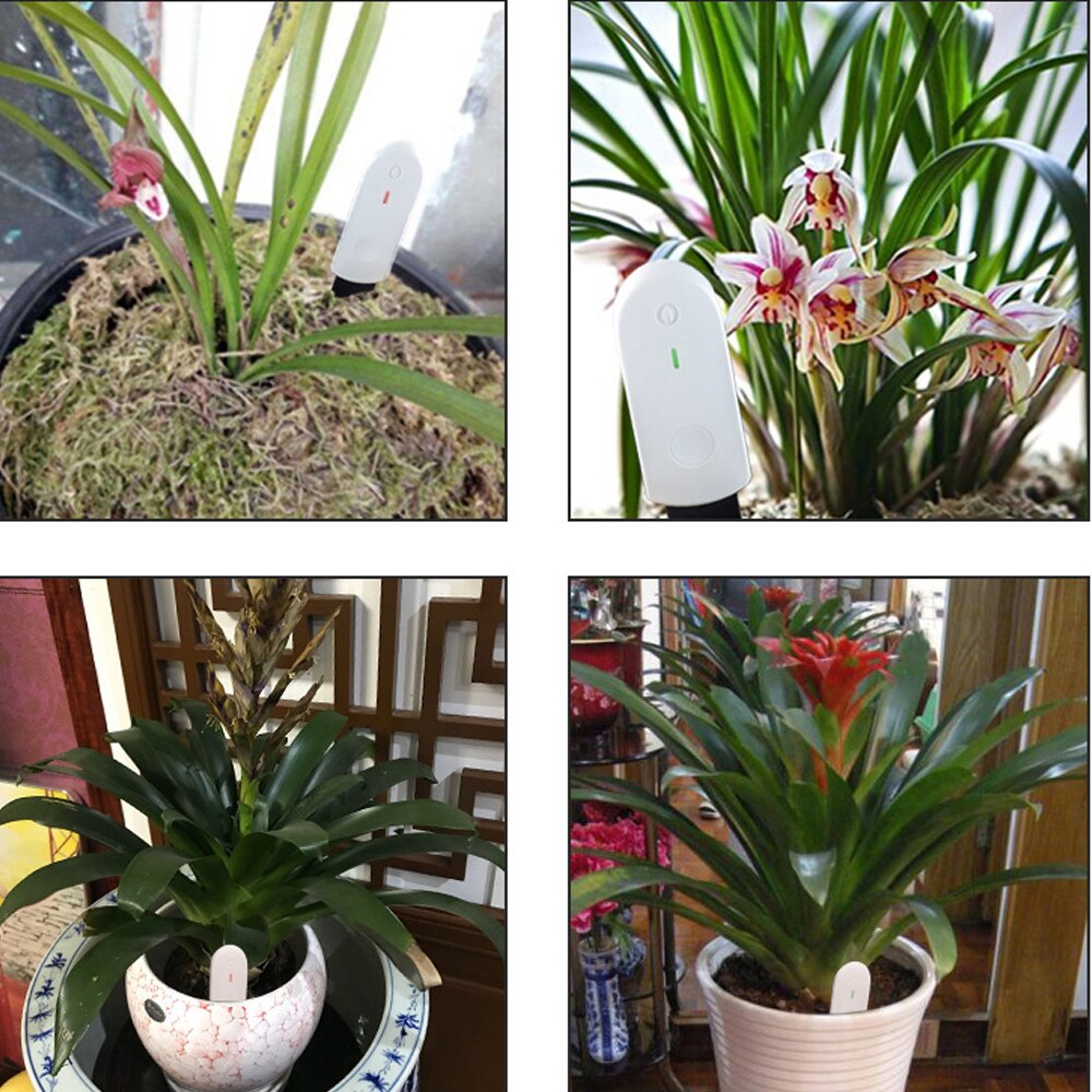 Soil Moisture Tester Waterproof Soil Water Monitor Soil Moisture Meter Instant Moisture Measuring Humidity Light Meter