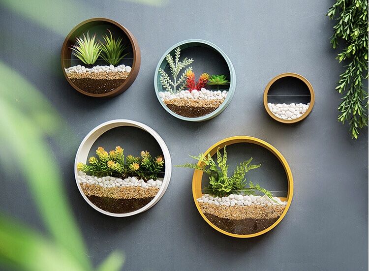 Pot planteur rond mural suspendu | Vase porte-plantes décoratif pour la maison, idéal pour les Cactus succulents, les plantes à Air, etc