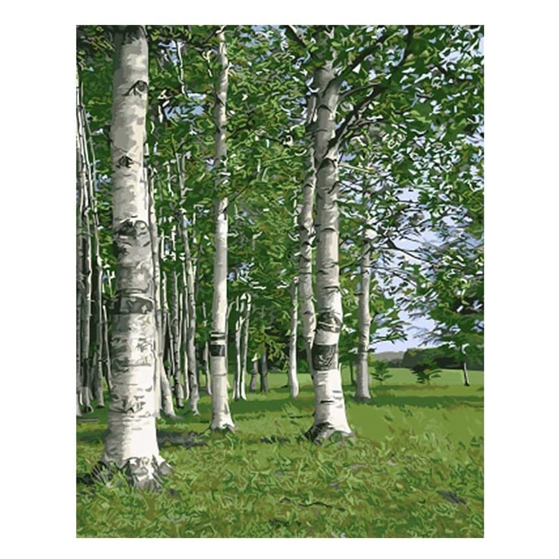 Paint By Numbers for Adults and Kids DIY Canvas Painting for Adults Beginner DIY Oil Paint- Without Frame(Birch): Default Title