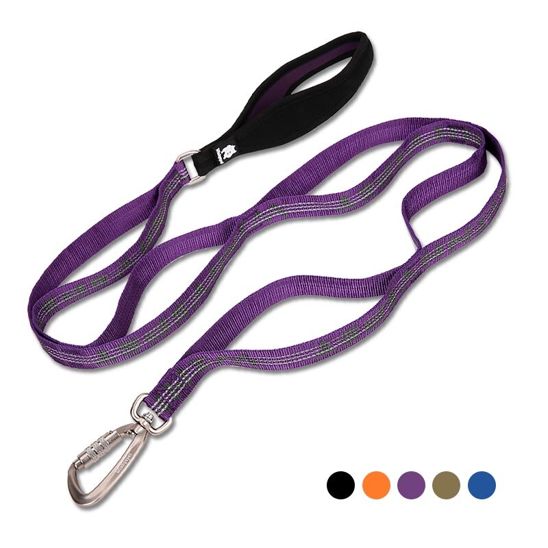 Truelove hondenriemen, duurzame reflecterende hondenriem van nylon, verstelbare trainingsriem met meerdere handgrepen voor honden.: Paars / L 2.5140cm