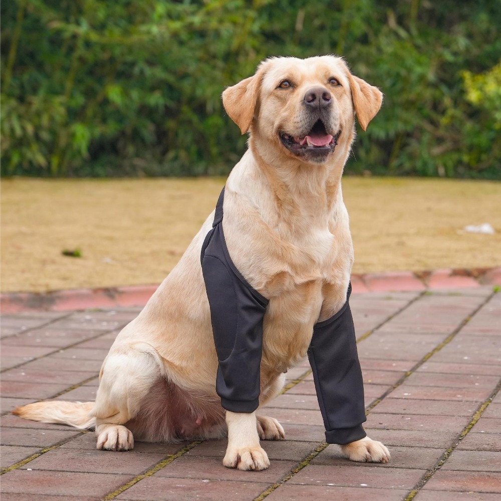 Cartoon Pattern Dog Elbow Sleeves Soft Brace Dog Elbow Protector Shoulder Support Cotton Pet Knee Pads for Elbow Brace: S / WHITE