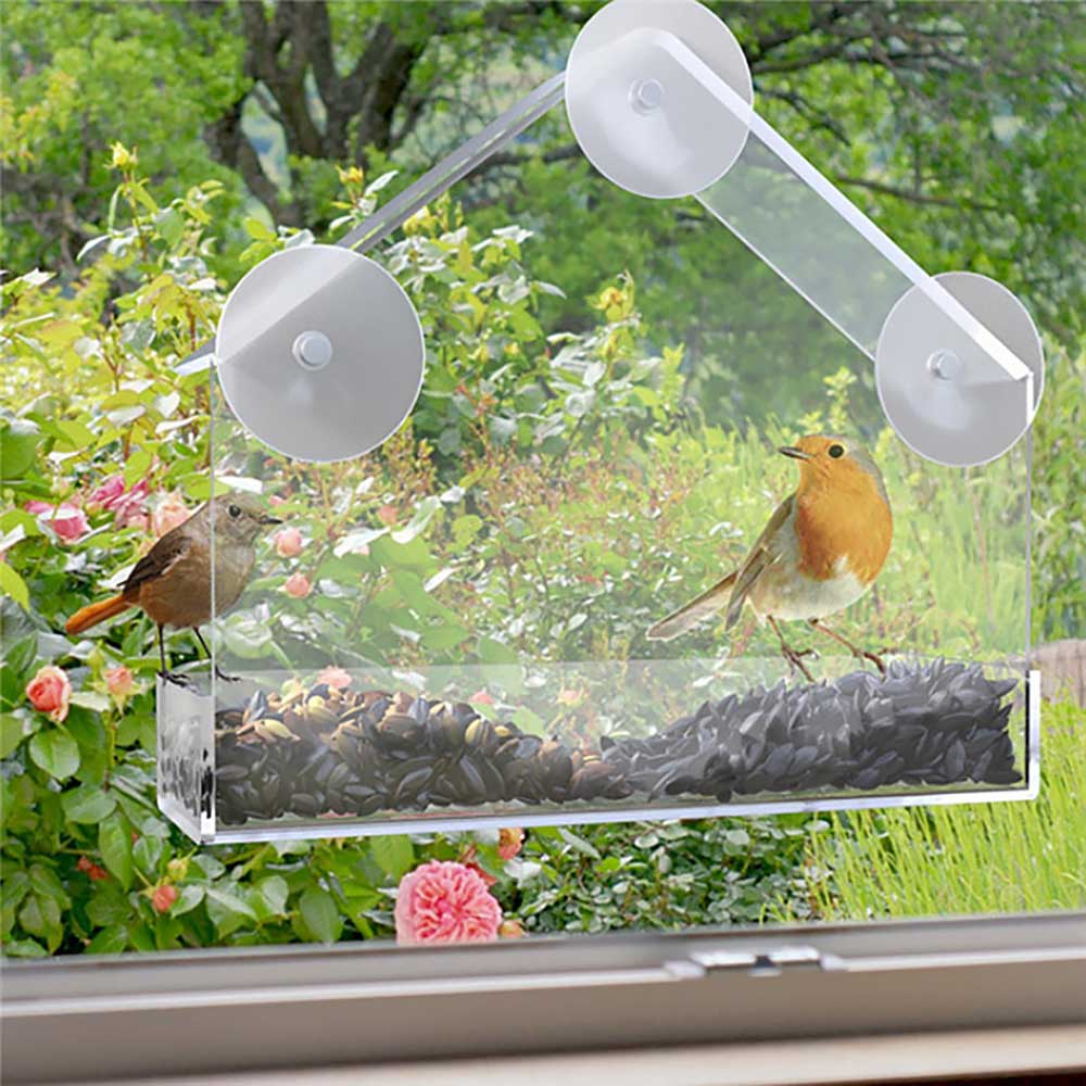 Mangeoire pour oiseaux transparente acrylique plexiglas mangeoire pour oiseaux amovible fenêtre suspendue avec ventouse mangeoire pour oiseaux