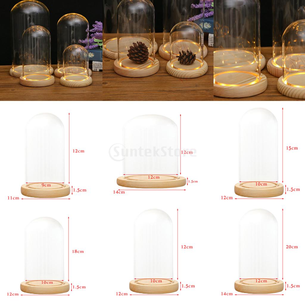 Glass Display Dome + LED Wooden Base, Decorative Clear Glass Cloche Bell Jars Display Dome for Decor
