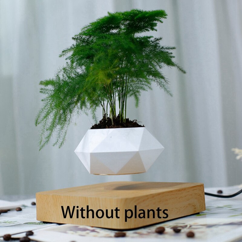 Lévitation magnétique plante planteur Pots succulents plante bureau ornements décor à la maison lévitation d'air bonsaï Pot nous Plug