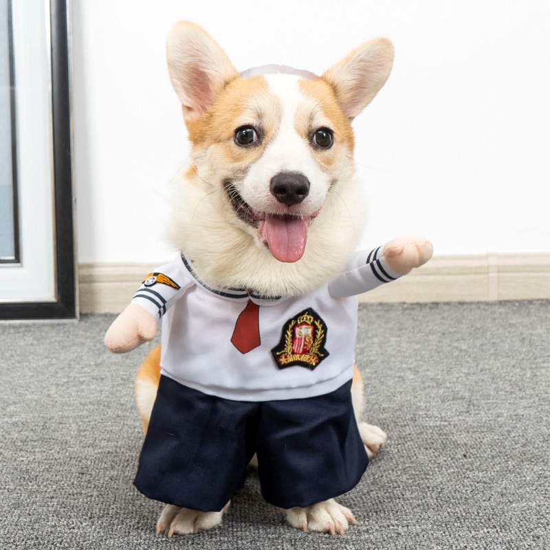Roupas para cães, fantasia engraçada, halloween, filhote de cachorro, moletom, terno, cosplay, roupas de festa, gato, cachorro, conjuntos, vestido para animais de estimação, roupas para cães