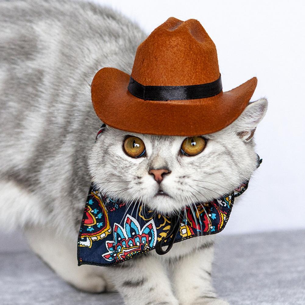 Nuovo stile moda cappello da cane creativo delicato sulla pelle Cool elegante tessuto gatto cappello da Cowboy per cuccioli gatti gattino festa compleanno Decor