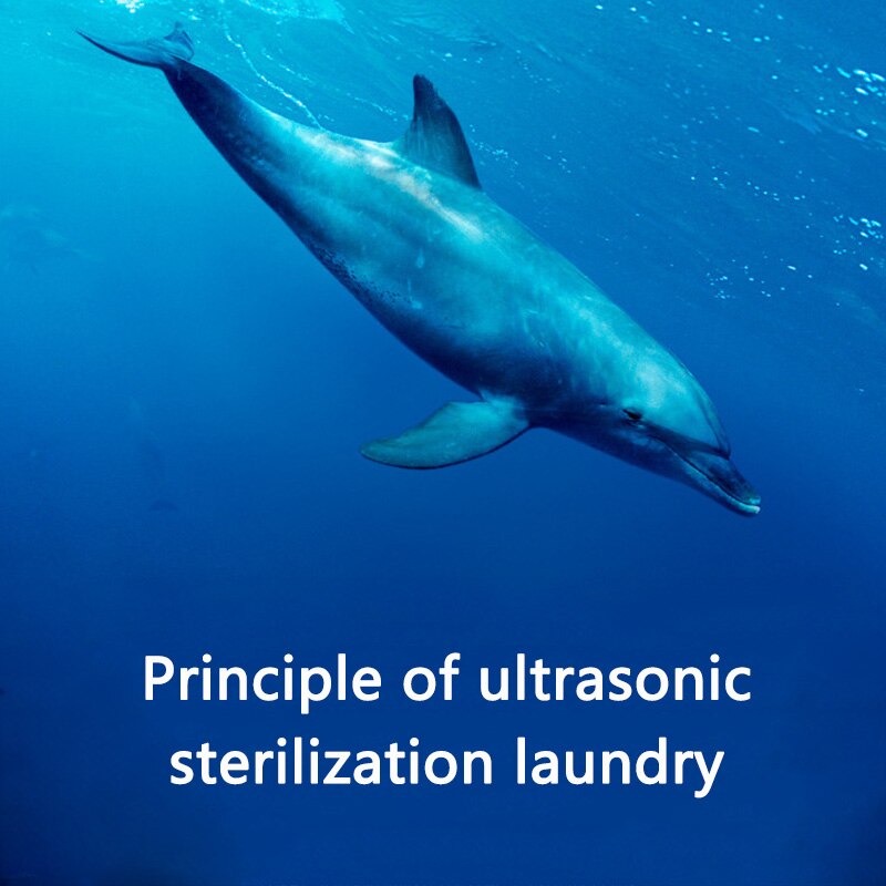 Dolphin Sonic Mini Lazy Washing Machine Dormitory Laundry Travel Portable Easy To Clean 5V Washing Machine Mini