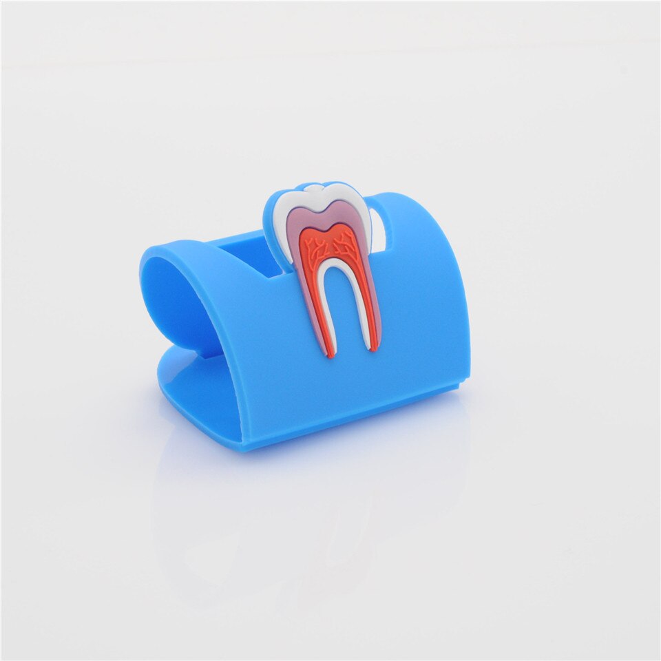 Support de présentoir porte-badge en forme de molaire en caoutchouc 6 couleurs pour dentaire: 5pcs blue