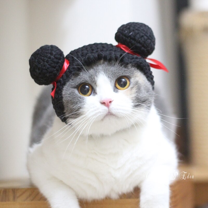 Ubranka dla kotów szczeniaczek kot śmieszne włosy kostium zimowy ciepły pluszowy kot kapelusz dla małych psów kotek odzież N62