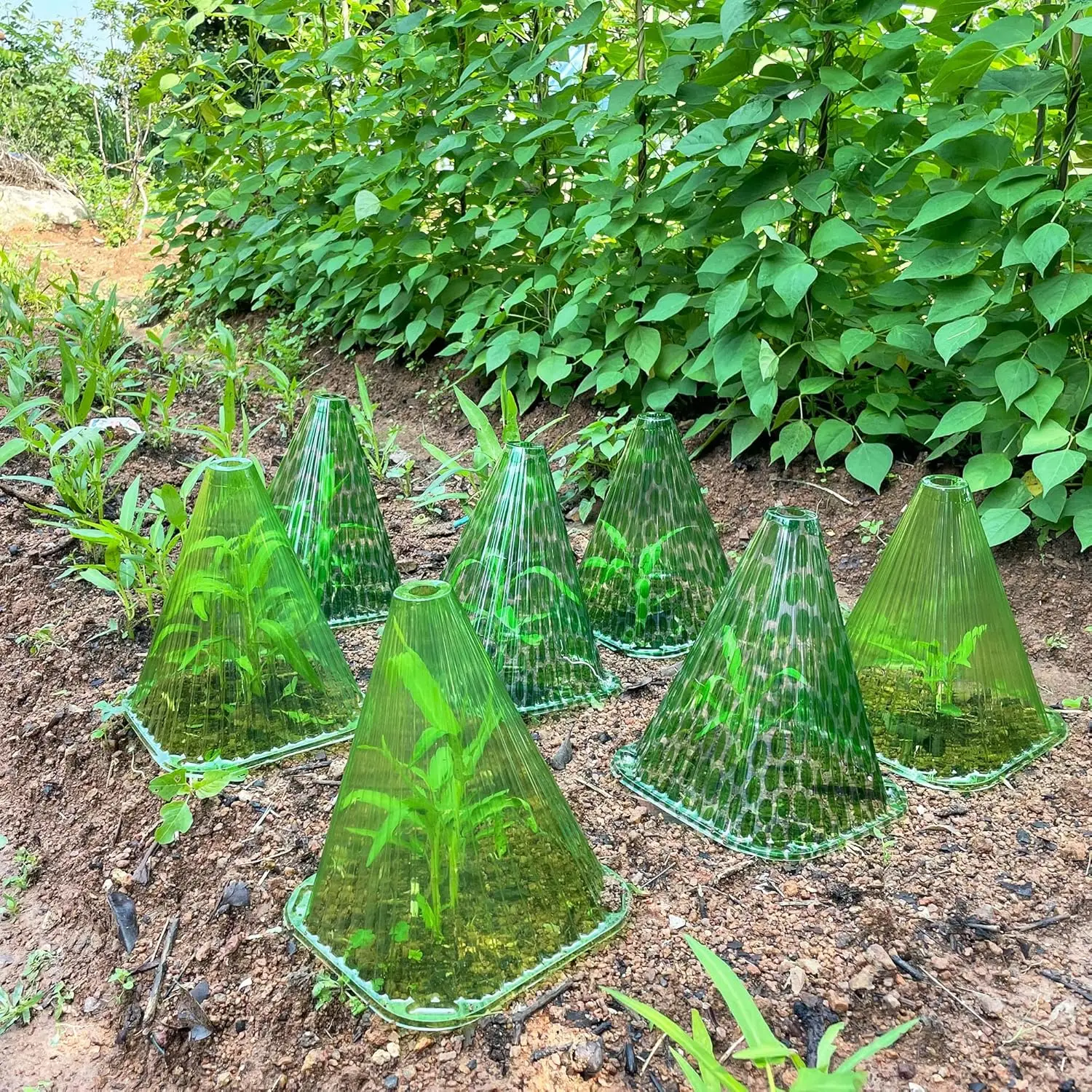 Pflanzenwachstumsuhr-Abdeckung, DIY, wiederverwendbar, Pflanzzelt, Garten, Hof, Sämling, Kunststoff-Glockenbox, Schild, Pflanzen von Vögeln, Frostschnecken