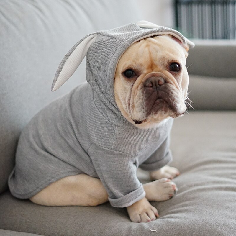 Hunde klær hund genser fleece hettegenser kanin hund skjorte fransk bulldog chihuahua katt skjorte kjæledyr klær ropa perro valp kanin øre