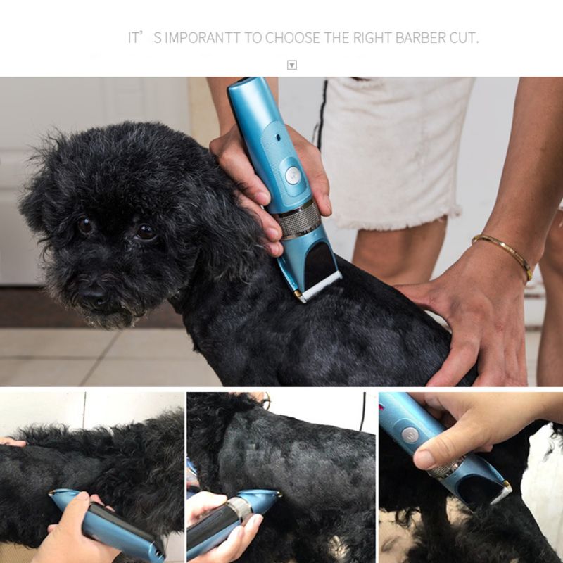 Best 5 Pet Grooming Vacuums of 2026: Professional Solutions for a Hair ...