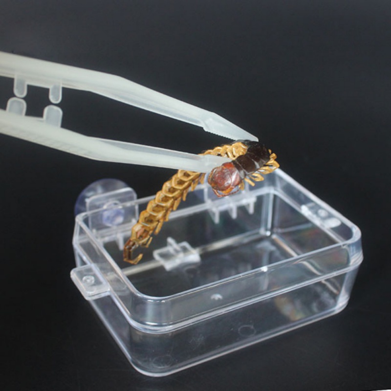 Lichtgevende Huisdier Tang Pincet Voeden Tang Voor Reptiel Slang Lizard Spider Amfibieën Slang Schildpad Cricket Voeden Benodigdheden