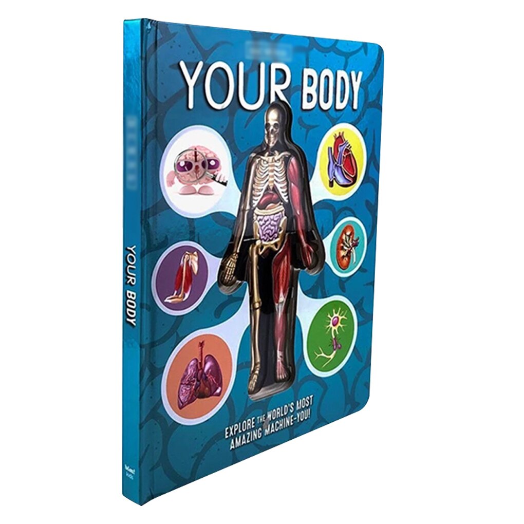 3D Foto Menselijk Lichaam Structuur Boek Anatomie Wetenschap Lezen Stickers Kid Vroege Educatief Cognitieve Ontwikkeling Doek Boek Speelgoed: 3D-Body Structure