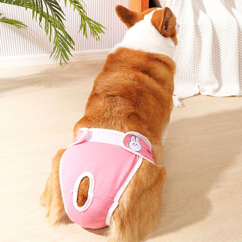 Dog Period Underwear Breathable Pet Menstrual Pants for Small Medium Dogs Female Dog Diapers with Panties for Periods
