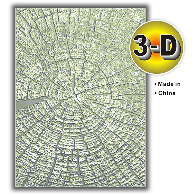 1 unique texture: embossed folder with beautiful patterns of tree rings - durable plastic, 3D , suitable for DIY scrapbook