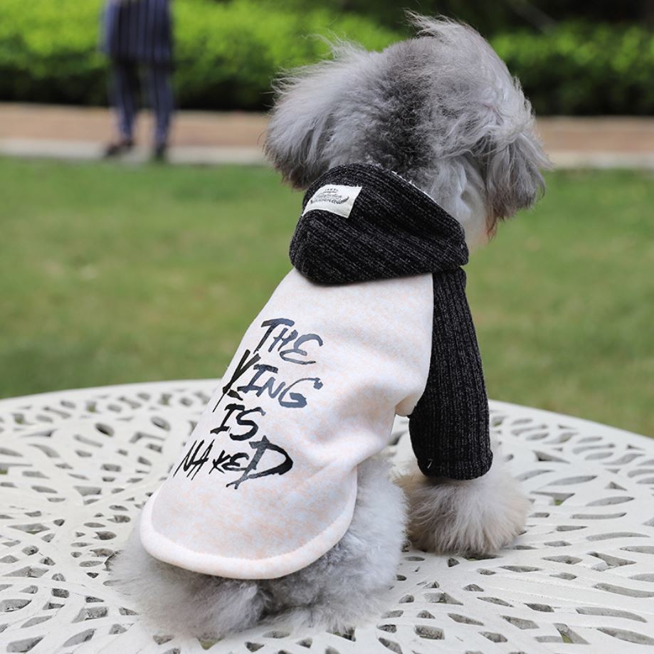 Winter Hund Katze Warme Mantel Jacke Katze Welpe Hoodie zur Seite fahren Buchstaben Winter Outfit 6 Größen