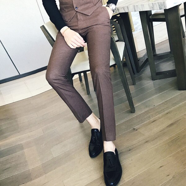 High-end Brand Men's Boutique Solid Color Formal Business Suit Pants Men's Casual Trousers Male: Brown / 30