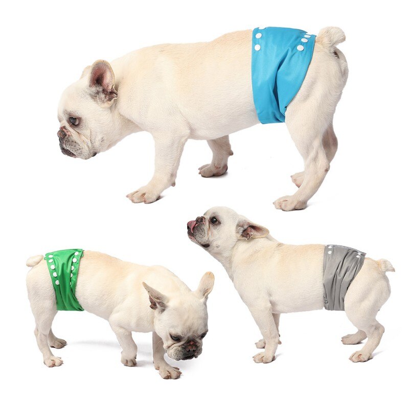 Cane Pantaloni Pannolino Riutilizzabile Lavabile Cane Fisiologici Shorts Durevole Comodo Biancheria Intima Slip Pantaloni Per Cani Chihuahua