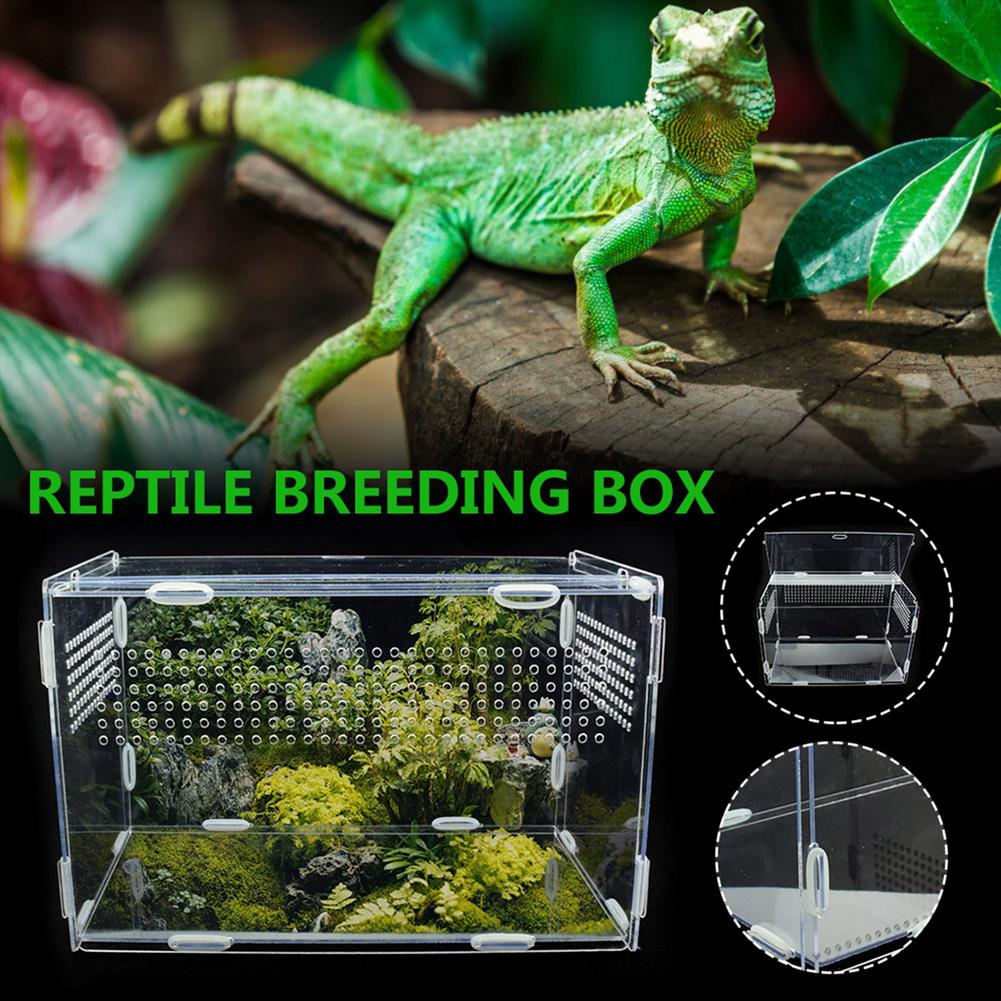 Caixa ornamental de terrário camaleão, para répteis, lagarto, centípede, aranha, caixa transparente, suprimentos para animais de estimação