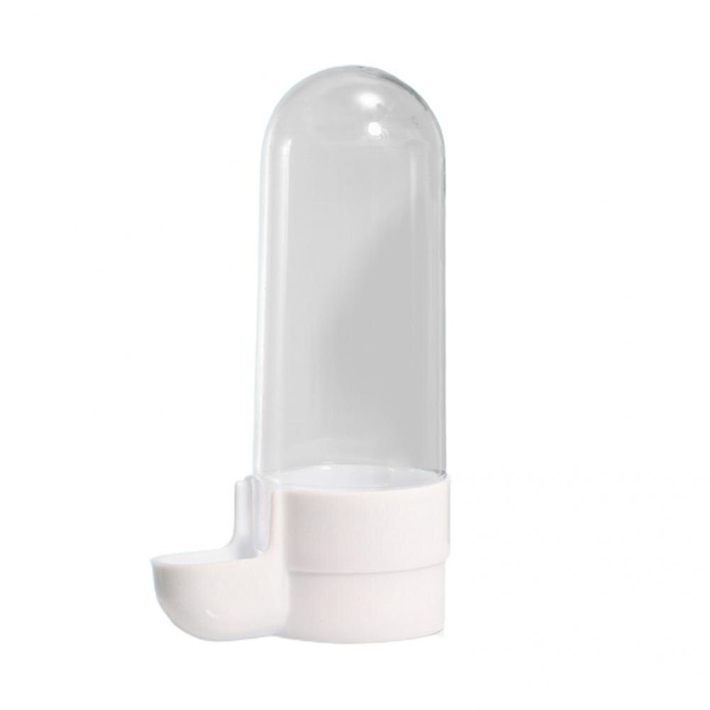 Bird Water Feeder Useful Bird Trough Pet Food Dispenser Water Bowl Parrot Feeder